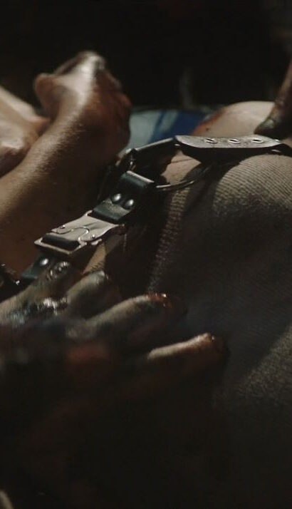 spineless-creatures-new